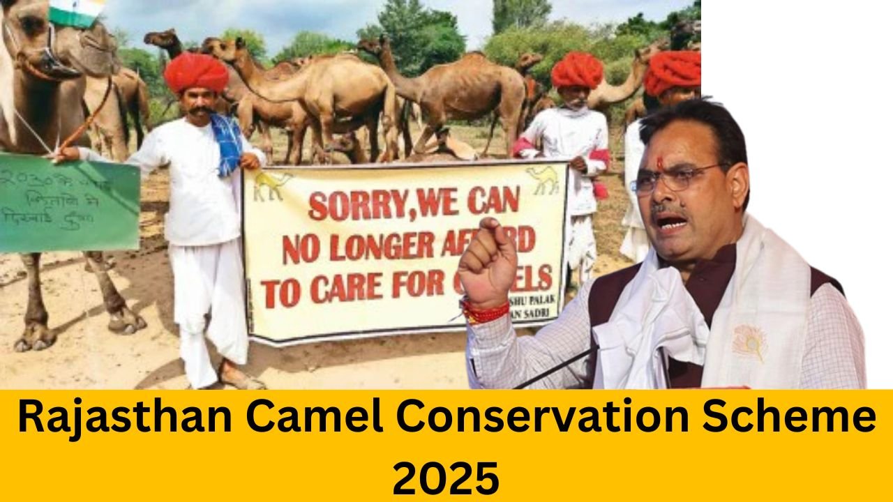 Rajasthan Camel Conservation Scheme