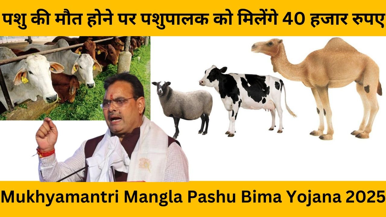 Mukhyamantri Mangla Pashu Bima Yojana